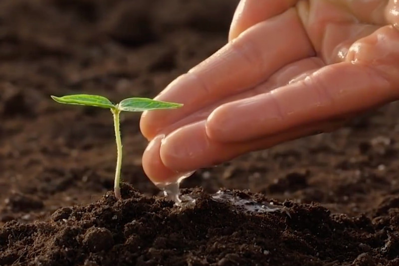 Agronomy