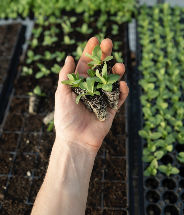 OrganicFarming1