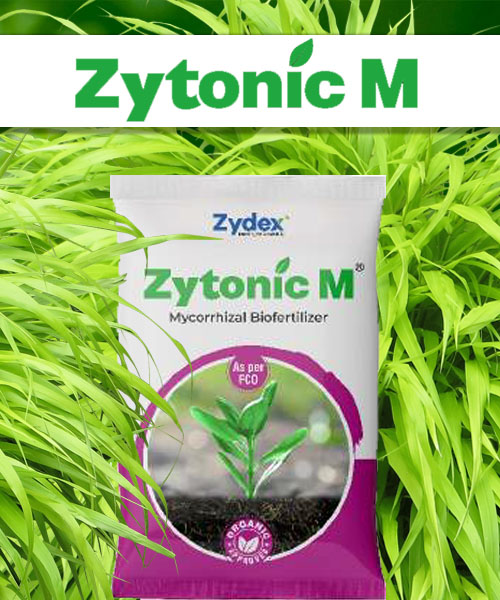 ProductZytonicM1