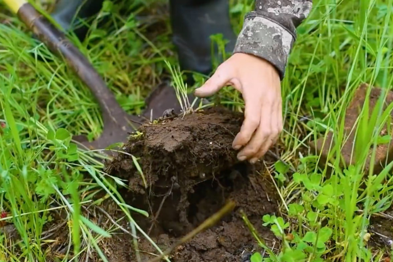 Soil Conservation