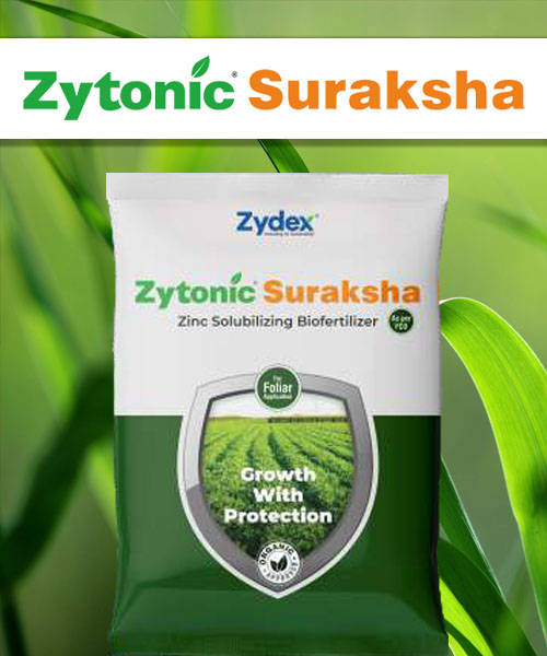 Suraksha1