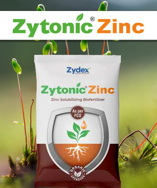 ZytonicZink1