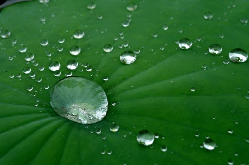 Water Conservation