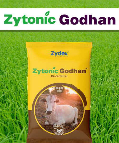 ProductGodhan