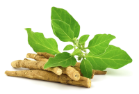 Aswagandha